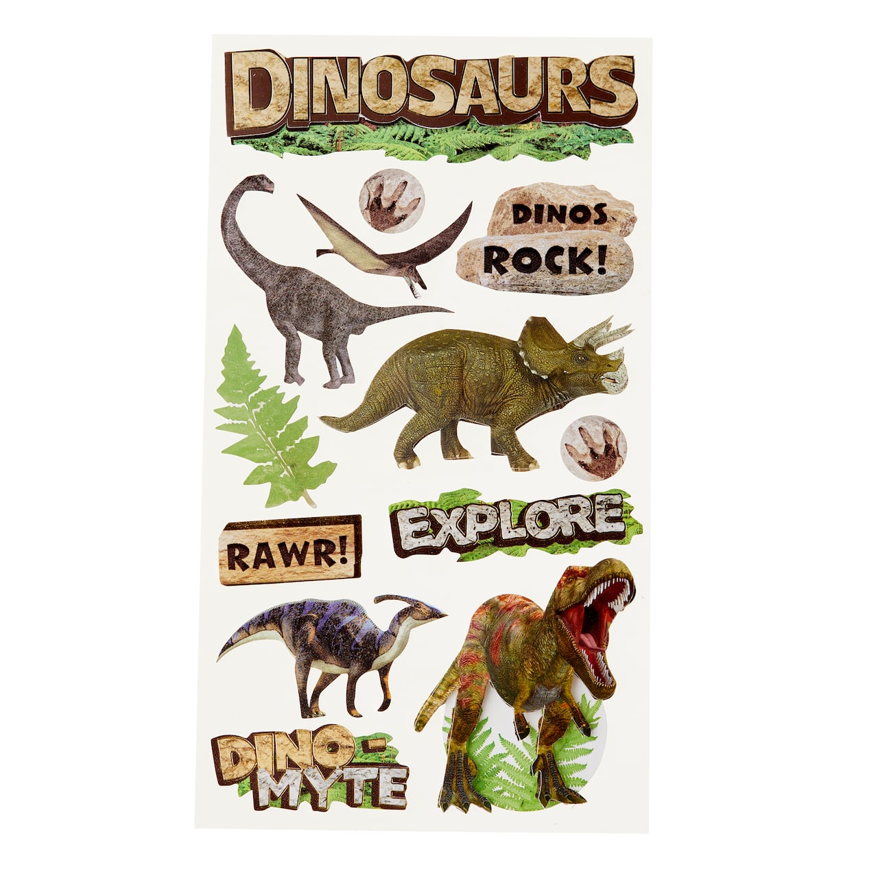 12 Pack: Dinos Rock Dimensional Stickers by Recollections™